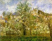 Kitchen Garden with Trees in Flower, Pontoise, Camille Pissaro